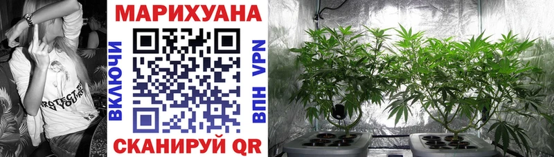МАРИХУАНА SATIVA & INDICA  Купить где  Калач-на-Дону 
